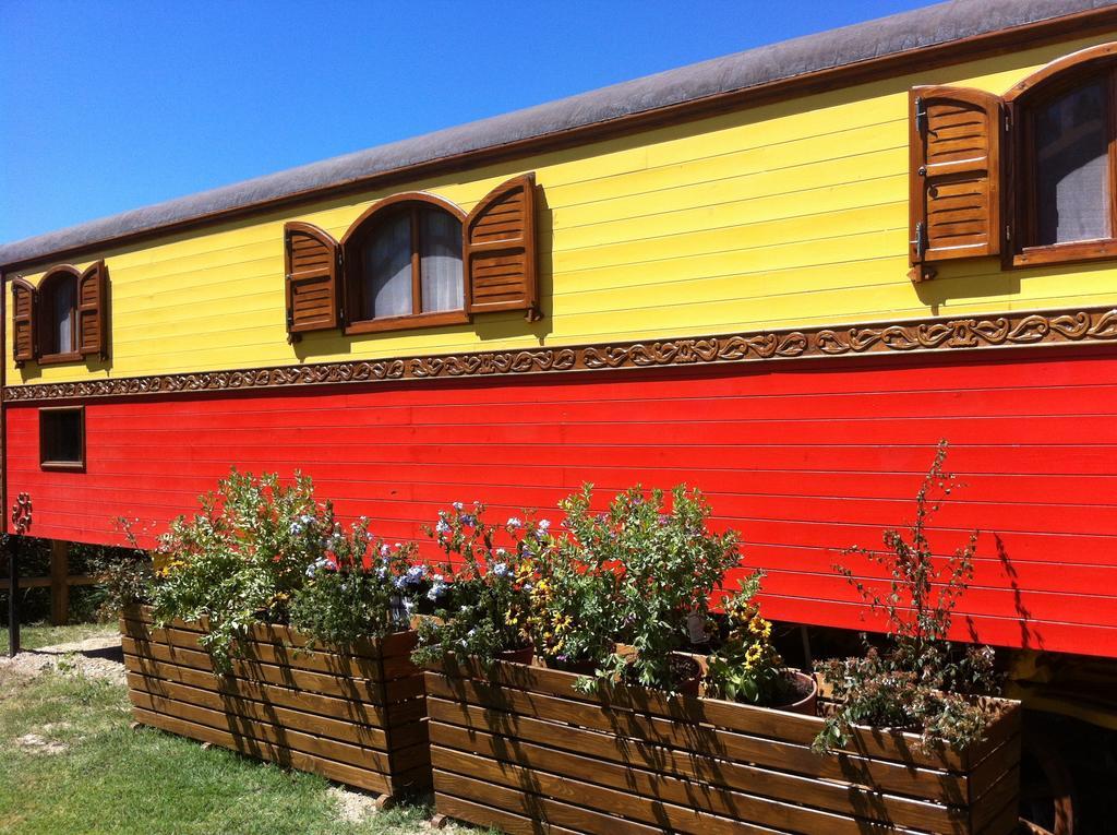 Residence Mas Du Tadorne Saintes-Maries-de-la-Mer Bilik gambar